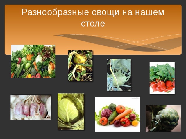 Разнообразные овощи на нашем столе 