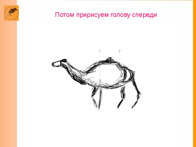  Потом пририсуем голову спереди     