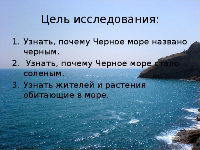 Тест у черного моря