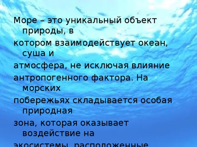 Проект на тему "Экологические проблемы морей России".