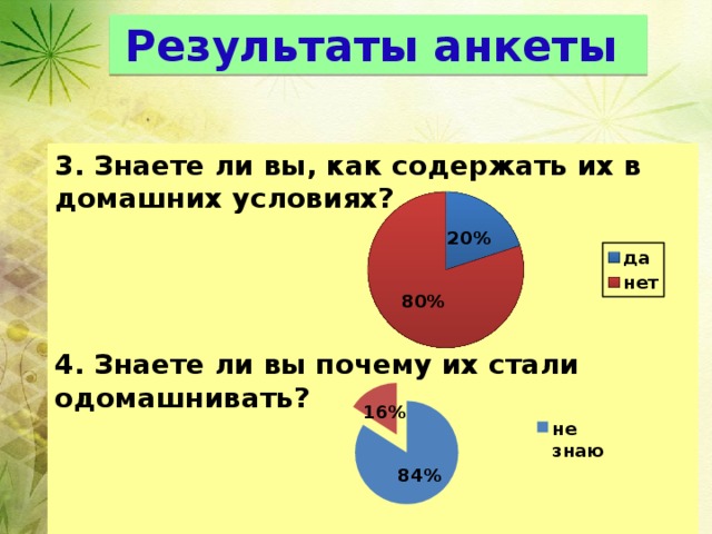 Результаты анкеты 3. Знаете ли вы, как содержать их в домашних условиях? 4. Знаете ли вы почему их стали одомашнивать? 