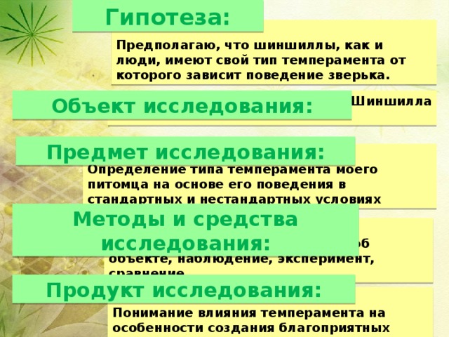 Гипотеза: Предполагаю, что шиншиллы, как и люди, имеют свой тип темперамента от которого зависит поведение зверька. Объект исследования: Шиншилла Предмет исследования: Определение типа темперамента моего питомца на основе его поведения в стандартных и нестандартных условиях Методы и средства исследования:   Анализ полученной информации об объекте, наблюдение, эксперимент, сравнение Продукт исследования: Понимание влияния темперамента на особенности создания благоприятных условий для питомца 