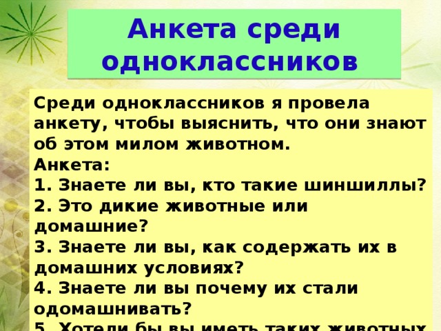 Анкета среди одноклассников Среди одноклассников я провела анкету, чтобы выяснить, что они знают об этом милом животном. Анкета: 1. Знаете ли вы, кто такие шиншиллы? 2. Это дикие животные или домашние? 3. Знаете ли вы, как содержать их в домашних условиях? 4. Знаете ли вы почему их стали одомашнивать? 5. Хотели бы вы иметь таких животных у себя дома? 