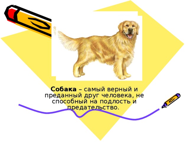 Собака  – самый верный и преданный друг человека, не способный на подлость и предательство. 
