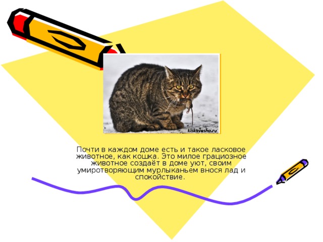 Почти в каждом доме есть и такое ласковое животное, как кошка. Это милое грациозное животное создаёт в доме уют, своим умиротворяющим мурлыканьем внося лад и спокойствие. 