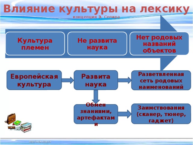 Влияние культуры на лексику  концепция Э. Сепира Культура племен Не развита наука Нет родовых названий объектов Европейская культура Развита наука Разветвленная сеть родовых наименований Заимствования (сканер, тюнер, гаджет) Обмен знаниями, артефактами 