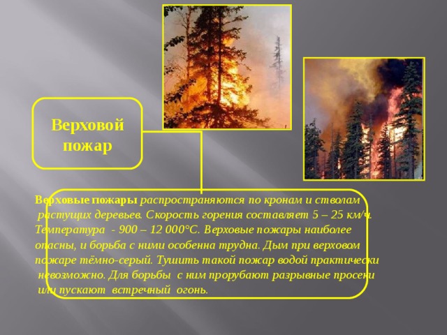 Верховой пожар наиболее опасен сдо. Верховой пожар скорость распространения. Верховой пожар наиболее опасен он охватывает кроны деревьев. Верховой пожар наиболее опасен. Скорость распространения огня при верховом Лесном пожаре.