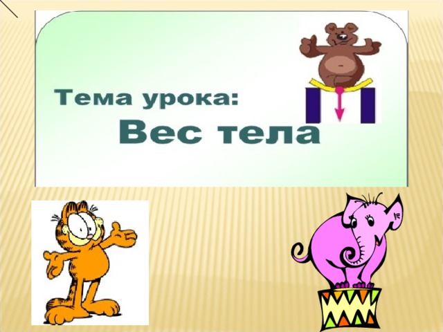 Сила тяжести вес тела 7 класс физика. Вес тела 7 класс. Физика 7 класс тема вес тела. Презентация на тему вес тела. Что такое вес тела в физике 7 класс.