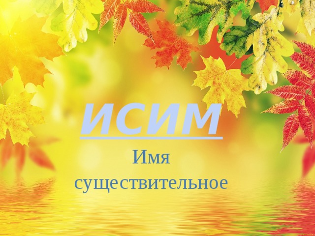 ИСИМ Имя существительное 
