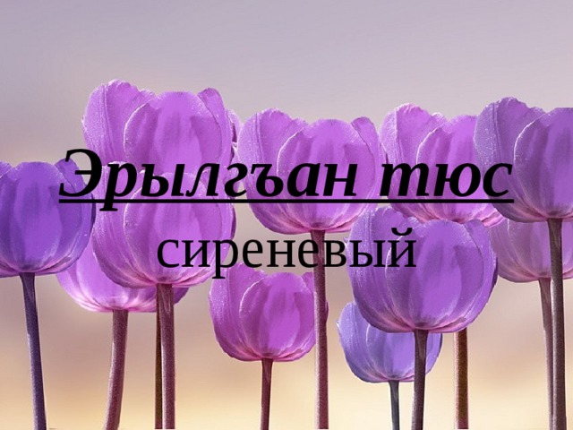 Эрылгъан тюс  сиреневый 