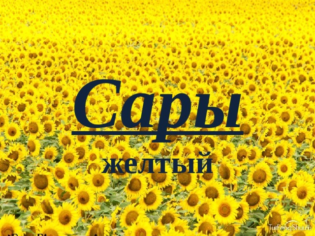Сары  желтый 