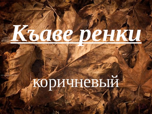 Къаве ренки  коричневый 