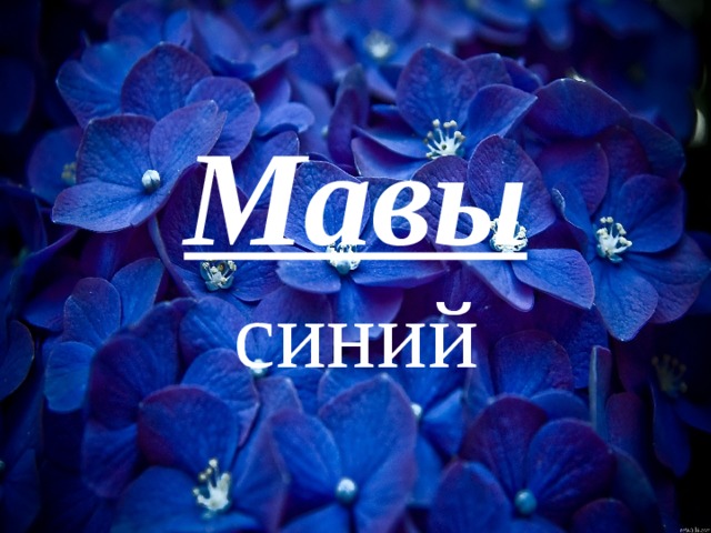 Мавы  синий 