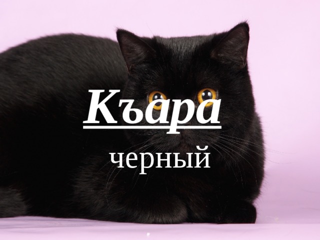 Къара   черный 
