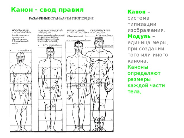 Канон - свод правил Канон – система типизации изображения.  Модуль – единица меры, при создании того или иного канона.  Каноны определяют размеры каждой части тела, а соблюдение их позволяет нарисовать фигуру человека так,  что она будет выглядеть гармоничной 