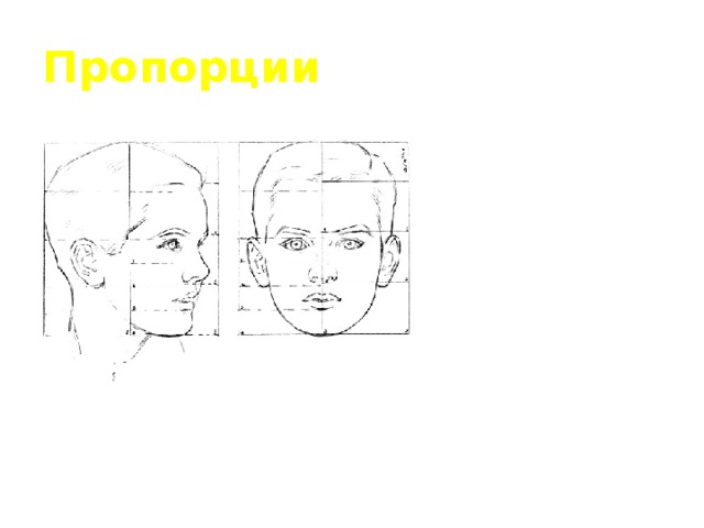 Пропорции выражают характер презентация урок изо 2 класс презентация