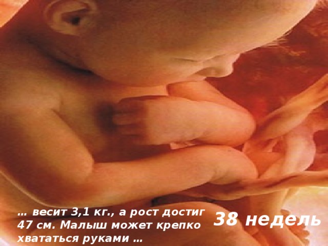 Беременность 39 недель первые роды