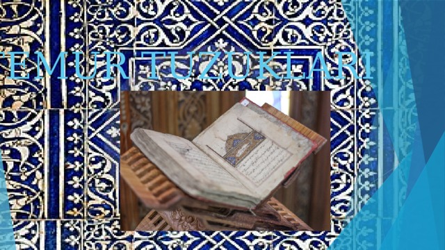 TEMUR TUZUKLARI 