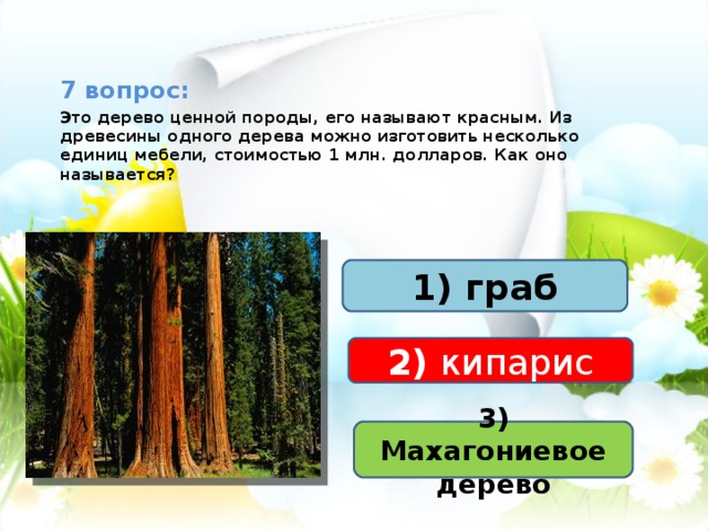 7 вопрос: Это дерево ценной породы, его называют красным. Из древесины одного дерева можно изготовить несколько единиц мебели, стоимостью 1 млн. долларов. Как оно называется? 1) граб 2) кипарис    ОСТАНОВКА  «ЦАРСТВО РАСТЕНИЙ» 3) Махагониевое дерево 
