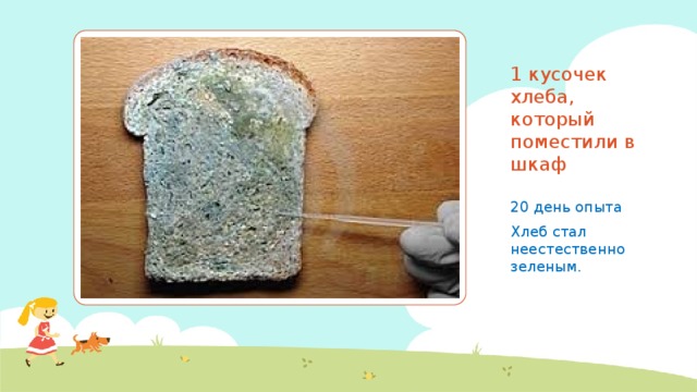 1 кусочек хлеба, который поместили в шкаф 20 день опыта Хлеб стал неестественно зеленым. 