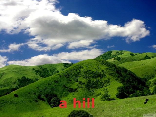 a hill 