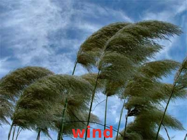 wind 