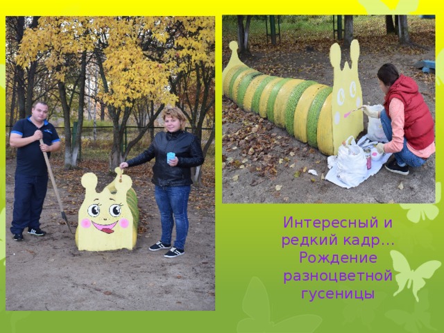 Интересный и редкий кадр… Рождение разноцветной гусеницы 