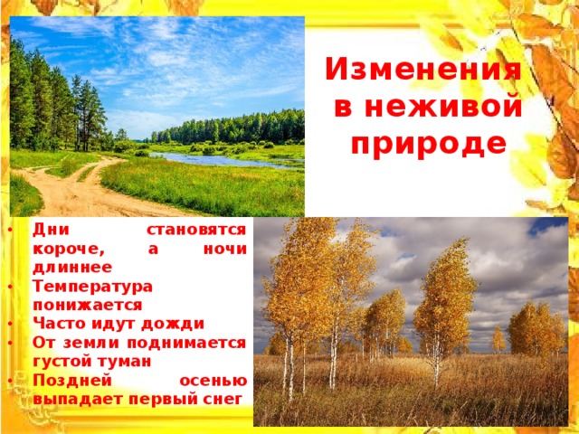 Примеры осенних явлений в неживой природе. Изменения в живой природе осенью. Осень в неживой природе. Изменения в неживой природе. Осенние изменения в природе 2 класс.