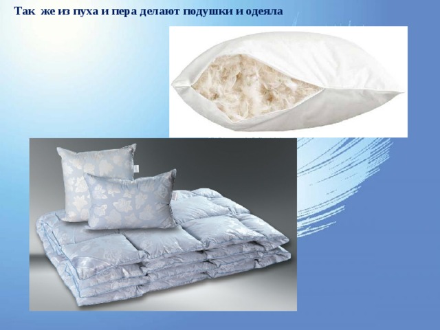 Так же из пуха и пера делают подушки и одеяла 