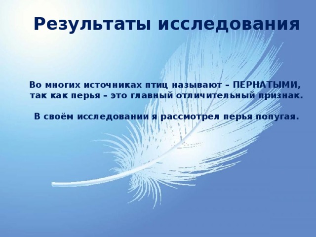 Результаты исследования Во многих источниках птиц называют – ПЕРНАТЫМИ, так как перья – это главный отличительный признак.  В своём исследовании я рассмотрел перья попугая. 