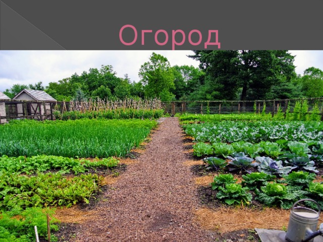 Огород 