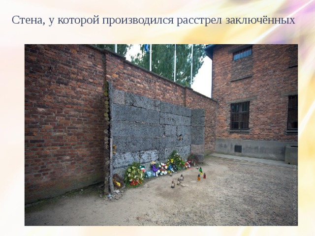  Стена, у которой производился расстрел заключённых 