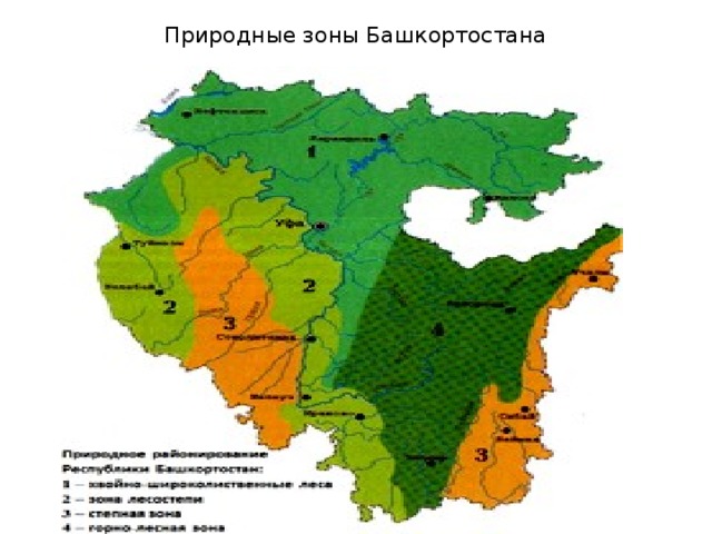 Карта природных зон Башкортостана. Природные зоны Башкортостана 4 класс окружающий мир.