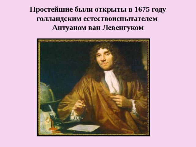 Простейшие были открыты в 1675 году голландским естествоиспытателем  Антуаном ван Левенгуком 
