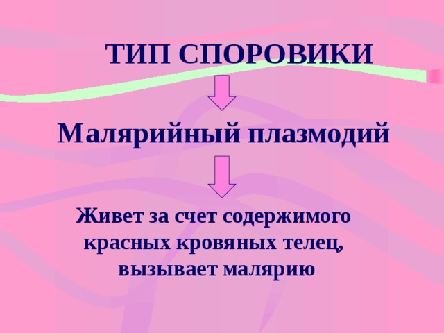 ТИП СПОРОВИКИ Малярийный плазмодий Живет за счет содержимого красных кровяных телец, вызывает малярию  
