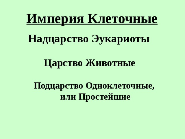 Империя Клеточные Надцарство Эукариоты Царство Животные Подцарство Одноклеточные, или Простейшие 