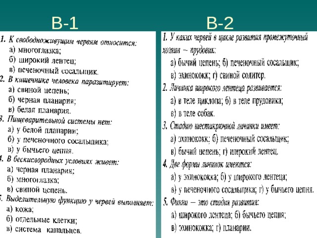 Презентация "Плоские черви"