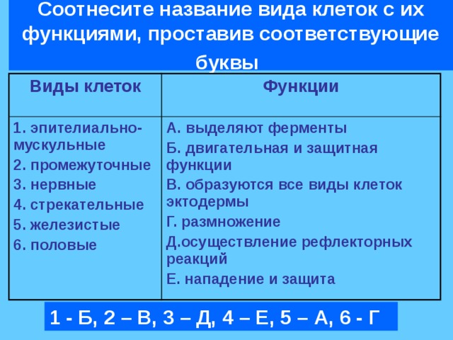 Соотнесите данные программы к своему классу программного обеспечения запишите в таблице paint