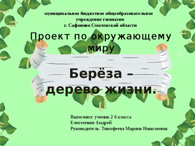 муниципальное бюджетное общеобразовательное учреждение гимназия г. Сафоново Смоленской области Проект по окружающему миру Берёза – дерево жизни. Выполнил: ученик 2 б класса Елисеенков Андрей Руководитель: Тимофеева Марина Николаевна 