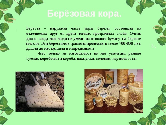 Берёзовая кора. Береста – наружная часть коры берёзы, состоящая из отделяемых друг от друга тонких прозрачных слоёв. Очень давно, когда ещё люди не умели изготовлять бумагу, на бересте писали. Эти берестяные грамоты пролежав в земле 700-800 лет, дошли до нас целыми и невредимыми. Чего только не изготовляют из нее умельцы: разные туески, коробочки и короба, шкатулки, солонки, корзины и т.п 