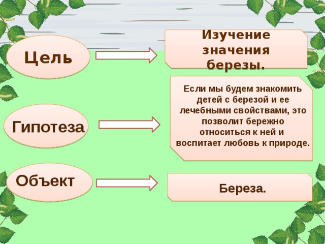 Изучение значения березы. Цель Если мы будем знакомить детей с березой и ее лечебными свойствами, это позволит бережно относиться к ней и воспитает любовь к природе. Гипотеза Объект Береза. 