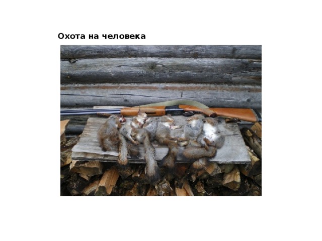 Охота на человека 