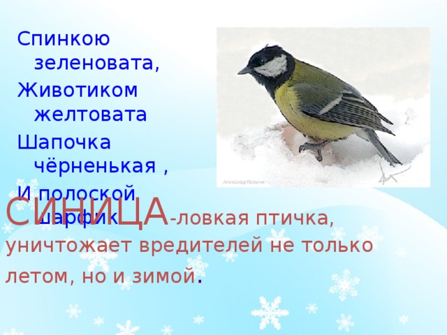 МКУ Центр культурного развития - Заметки OK.RU