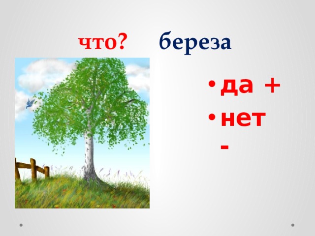 что? береза да + нет - 