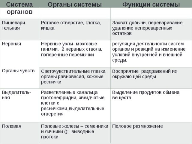 Система органов Органы системы Пищевари- тельная Функции системы Ротовое отверстие, глотка, кишка Нервная Органы чувств Захват добычи, переваривание, удаление непереваренных остатков Нервные узлы- мозговые ганглии, 2 нервных ствола, поперечные перемычки Выделитель-ная регуляция деятельности систем органов и реакций на изменение условий внутренней и внешней среды. Светочувствительные глазки, органы равновесия, кожные реснички Восприятие раздражений из окружающей среды Разветвленные канальца протонефридии, звездчатые клетки с ресничками,выделительные отверстия Половая Выделение продуктов обмена веществ Половые железы – семенники и яичники (); выводные протоки Половое размножение 