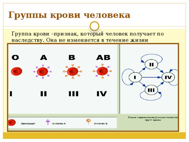 Поменялся резус фактор крови