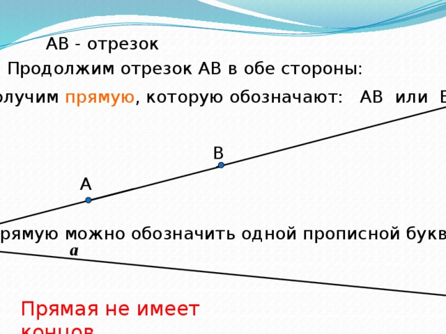 Отрезок ав является