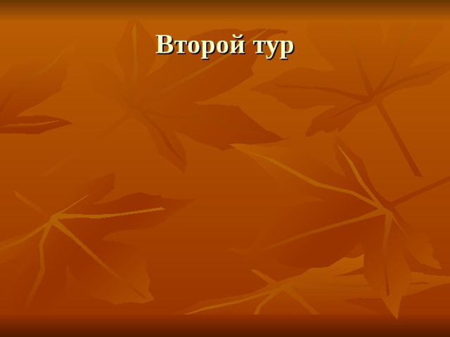 Второй тур 