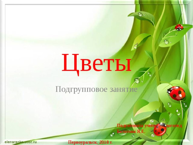 Презентация цветы логопед
