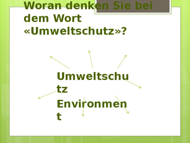 Woran denken Sie bei dem Wort «Umweltschutz»?   Umweltschutz Environment